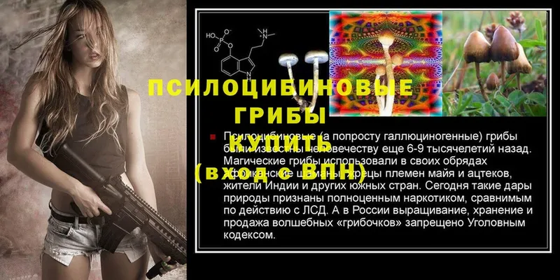 площадка состав  blacksprut tor  Советский  Псилоцибиновые грибы MAGIC MUSHROOMS 